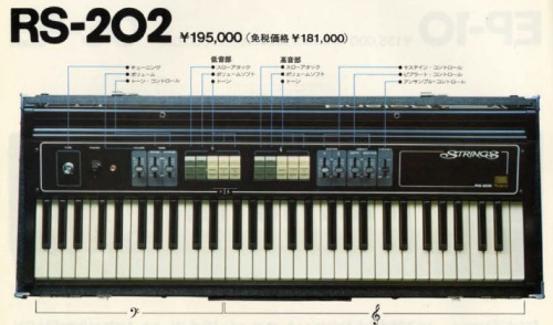 Roland STRINGS RS-202