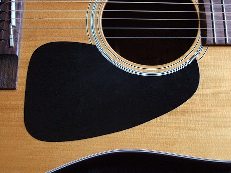 Takamine TSS-08