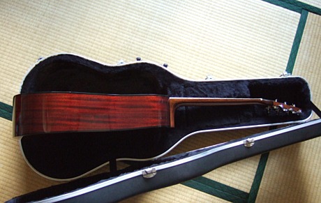 Takamine TSS-08