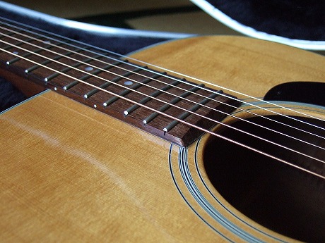 Takamine TSS-08