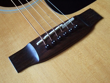 Takamine TSS-08